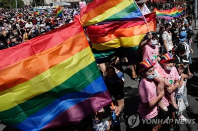 칠레, 동성결혼 허용 향해 성큼…관련 법안 하원 통과