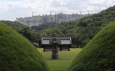 팔 걷은 인천 서구 "김포 장릉 앞 아파트 '무허가' 아냐"