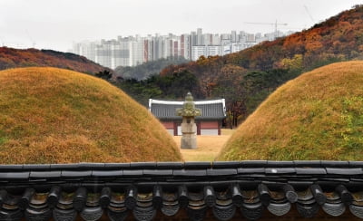 대방건설도 문화재위 심의 요청 철회…'왕릉뷰 아파트' 법정행