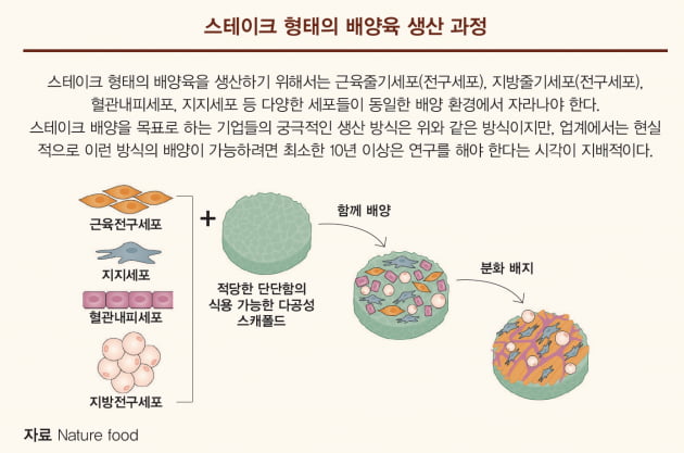 [이슈 - ②TECHNOLOGY] 시장을 선점할 최초의 배양육은 어떤 모습일까