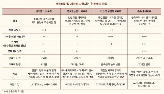 [이슈 - ③ANALYSIS] 배양육에 남아 있는 허들