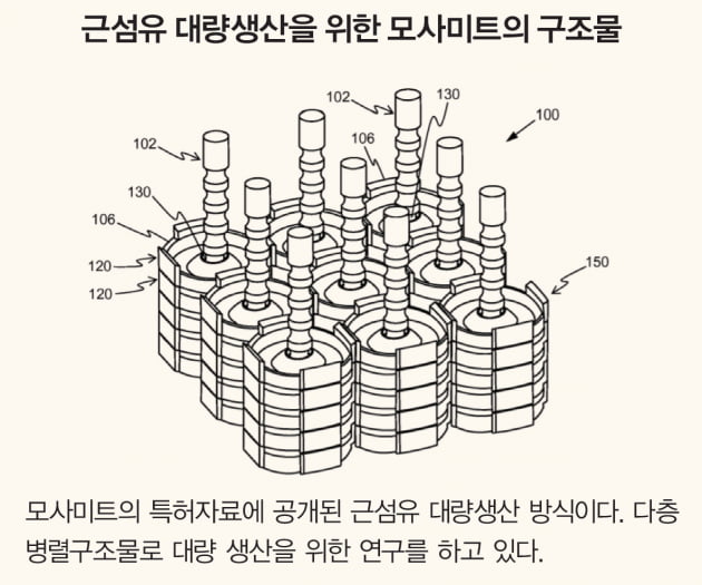 [이슈 - ④COMPANY] 배양육 춘추전국시대, 해외 주요 기업 분석