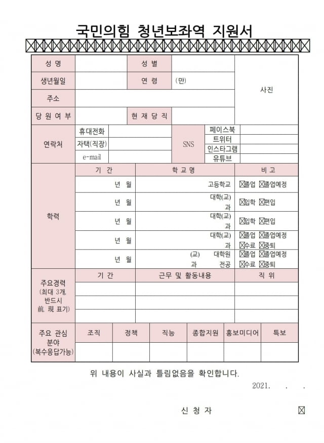 국민의힘 청년 보좌역 지원서. / 사진=국민의힘