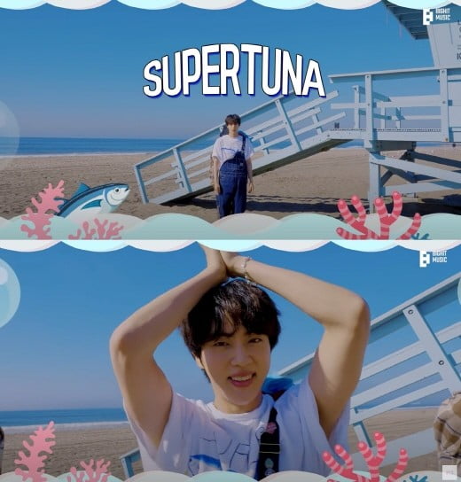 방탄소년단(BTS) 진의 자작곡 '슈퍼참치'/사진=뮤직비디오 영상 캡처