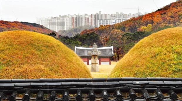 표류하는 왕릉뷰 아파트 사태…문화재위 또 '보류'