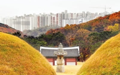 표류하는 왕릉뷰 아파트 사태…문화재위 또 '보류'