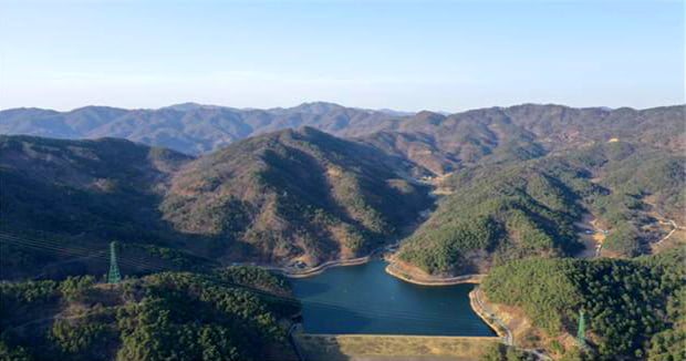 산림청, 12월의 국유림 명품숲에 충주 ‘오청산 소나무 숲’ 선정