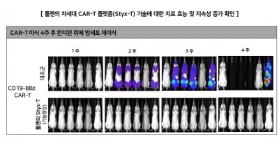 툴젠, 고형암 표적 CAR-T 기술 관련 국내 특허 추가 등록