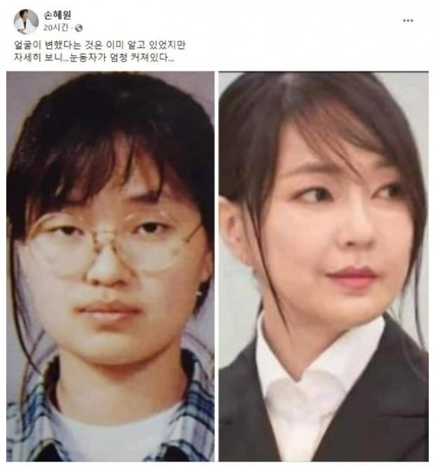 이미지=손혜원 전 더불어민주당 의원 페이스북