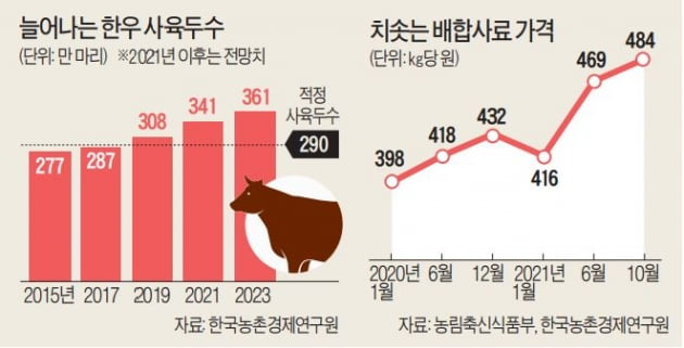 "50만마리 이상 공급과잉 상태"···10년 주기 '소값 폭락' 반복되나