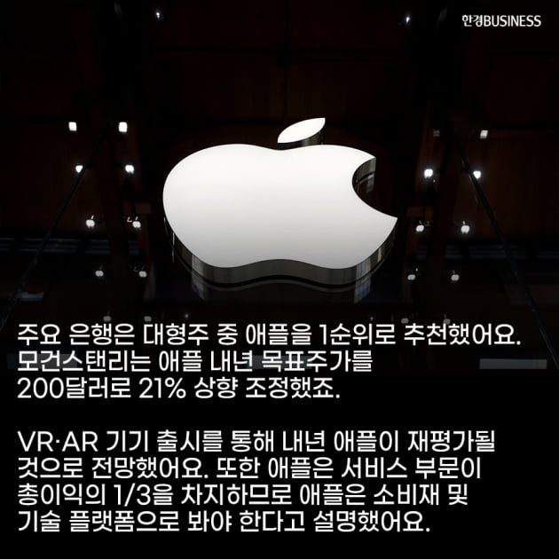 [영상뉴스]"내년 최고 주식은 애플" 월가가 예상한 내년 유망주는?