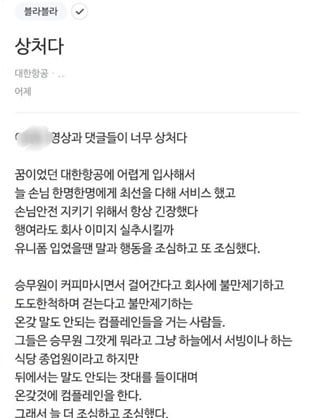 "우리 볼 때마다 무슨 상상할지"…대한항공 승무원 '울분'