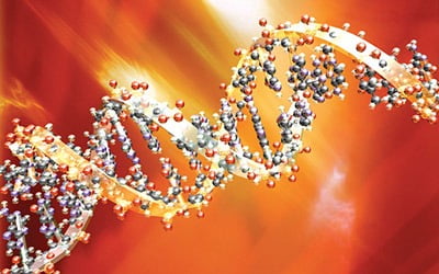 로스비보, 마크로젠과 MOU 체결…신약개발 등에 유전체 분석 활용