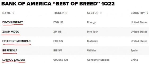 BofA “데본·줌·루저우 등 5종목…내년 1분기 최고 성적 낼 것”