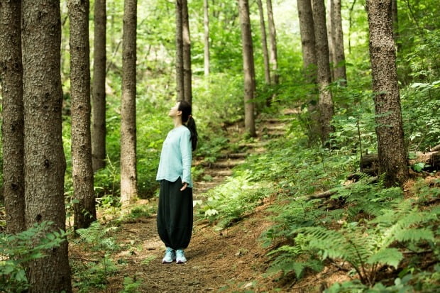 관광의 별 본상 그 자체의 매력이 뛰어난 관광지로 선정된 제주 서귀포 치유의 숲. 