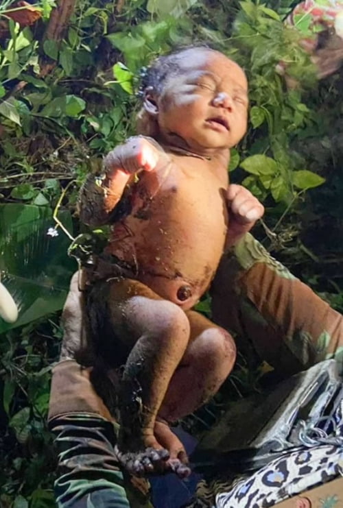태국의 한 숲속에서 발견된 신생아.  /사진=데일리메일