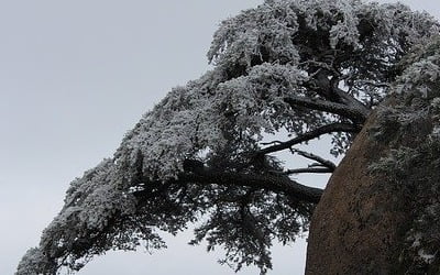 겨울 산에서, 정석권