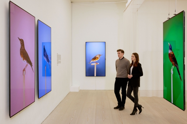 현대미술의 성지 英 사치갤러리에서 빛난 LG 올레드 TV