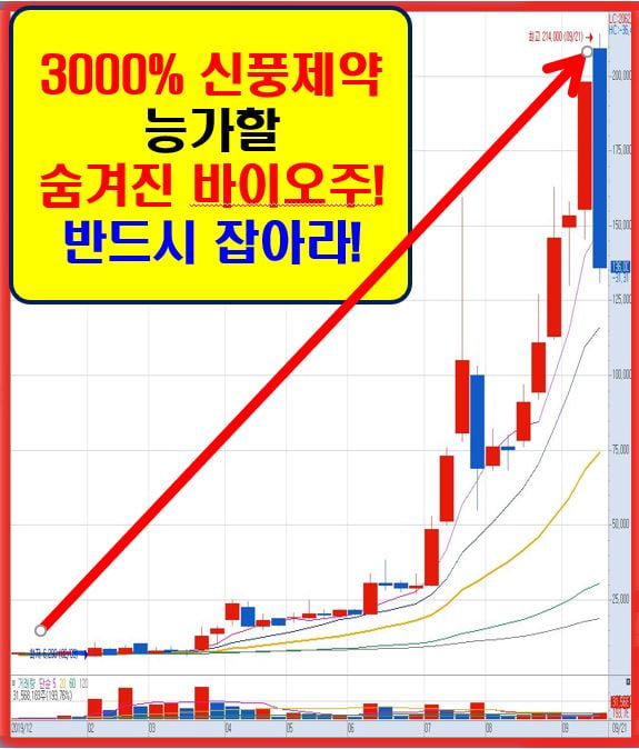 12월! 주식농사 한방에 끝낼 바이오 황제주!!