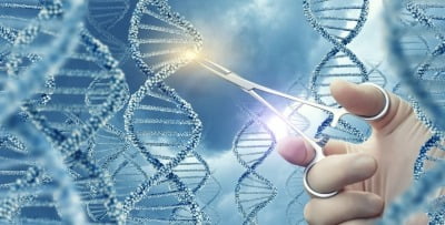 지플러스생명과학, 유전자가위 개량 기술 美 특허 취득