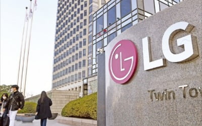 "하루 만에 3조 날아갔다"…LG화학 담은 개미들 '비명'