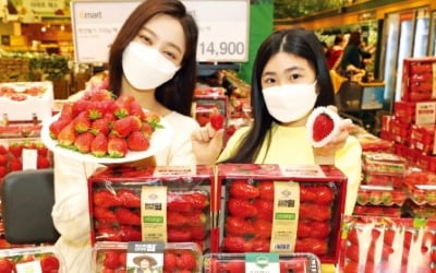 딸기·버섯·자몽…신선식품 맞춤형 오프라인 매장 강화