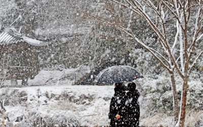 [포토] 함박눈 내리는 담양…“18일 더 추워요”