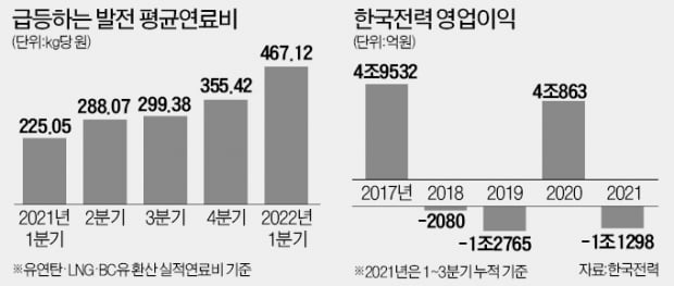 홍남기, 전기요금 '연료비 연동제' 걷어찼다 