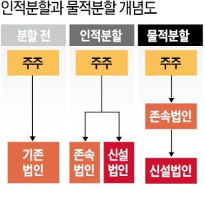 물적분할은 개미의 敵?…"주주 뒤통수 쳐" vs 기업들 "우리도 답답"