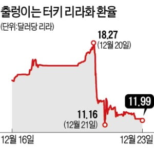 달러 풀어 환율 방어…터키, 외환위기 오나