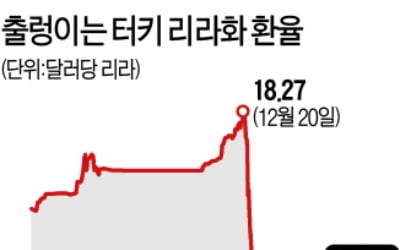 달러 풀어 환율 방어…터키, 외환위기 오나