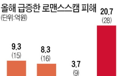 데이팅앱·SNS '로맨스스캠' 주의보