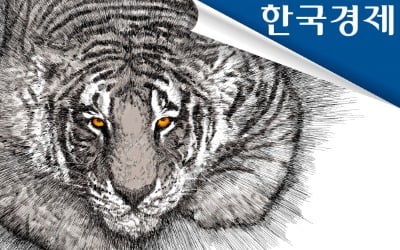 글로벌 정글 헤쳐나갈 '호랑이 기업' 키우자