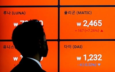 알트코인, 2022년엔 더 강해진다[비트코인 A to Z] 