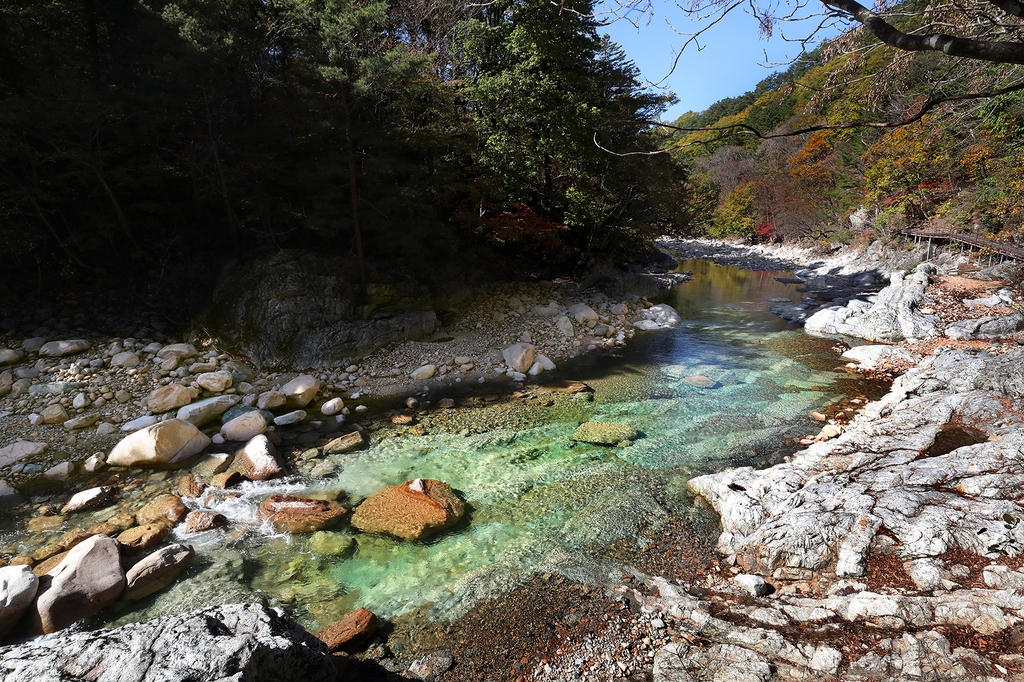 [걷고 싶은 길] 산책 같은 등산, 등산 같은 산책