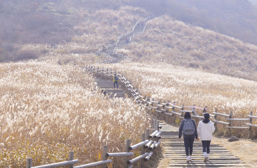 [여기 어때] 걷고 명상하고 배우고 먹고 마시고…'오색찬란' 울주