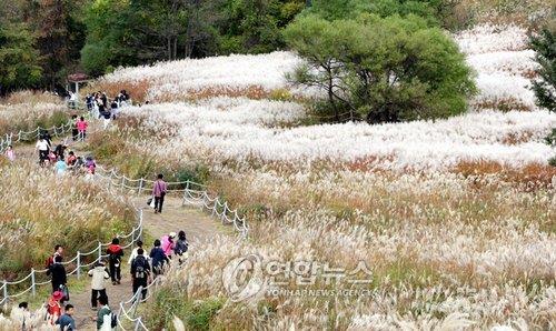 포천 산정호수∼명성산 연결 케이블카 착공 내년으로 연기