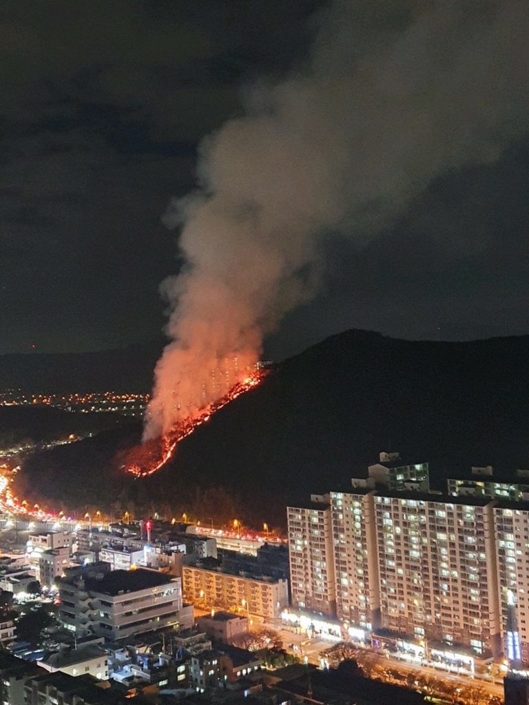 부산 북구 금정산 산불은 입산객 실화 때문…합동감식서 추정