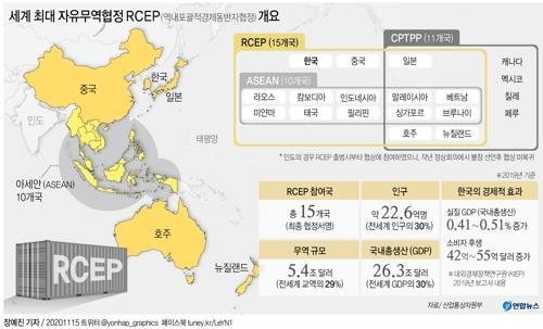 '세계 최대 FTA' RCEP 비준안 국회 통과…내년 2월초 발효