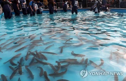 겨울 축제·해맞이 줄취소…위드 코로나 경기회복 기대 '수포'