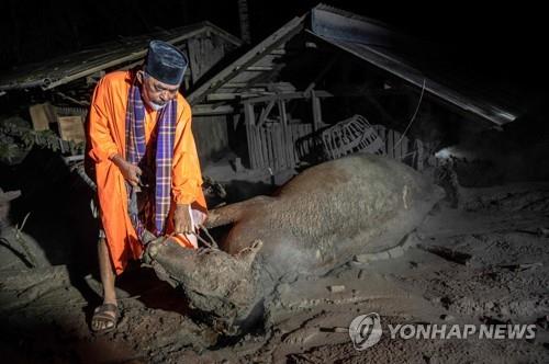 [월드&포토] 화산재에 잿빛 된 인도네시아 동자바섬