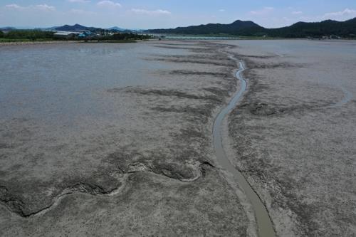 '전남 갯벌' 체계적 보전·관리로 세계적 명소 만든다