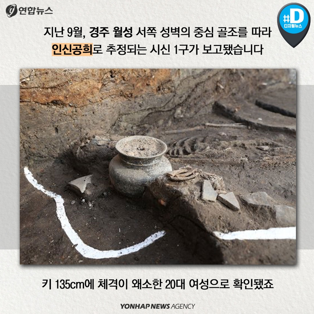 [카드뉴스] 경주 월성서 발견된 135cm 신라 여성, '인간 제물'?