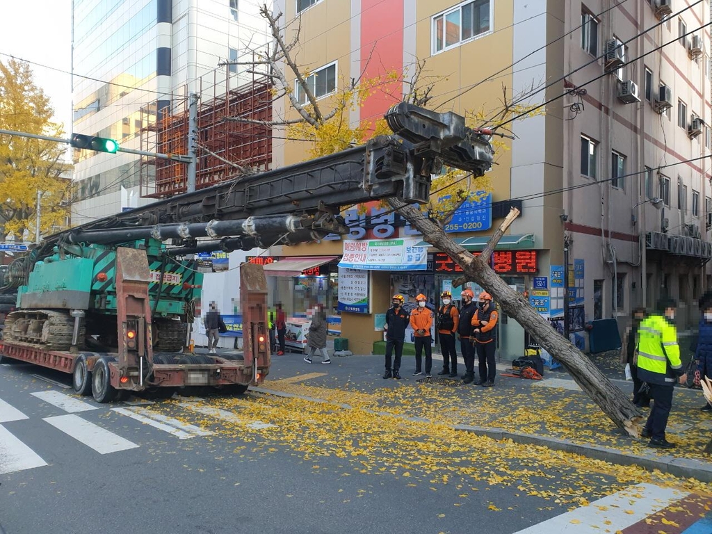 부산서 트레일러 적재물 충격으로 가로수 쓰러져 2명 부상