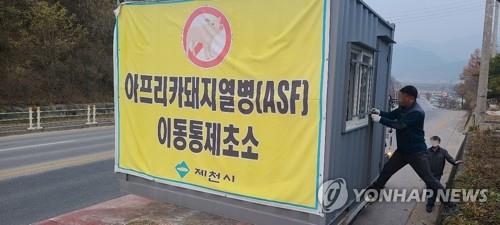 제천·단양서 ASF 감염 멧돼지 잇따라 발견…누적 33건