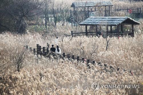 코로나 확산세에 차분한 휴일…도심은 '한산'·스키장은 '북적'