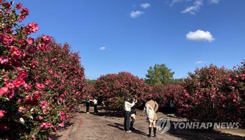 코로나 확산세에 차분한 휴일…도심은 '한산'·스키장은 '북적'