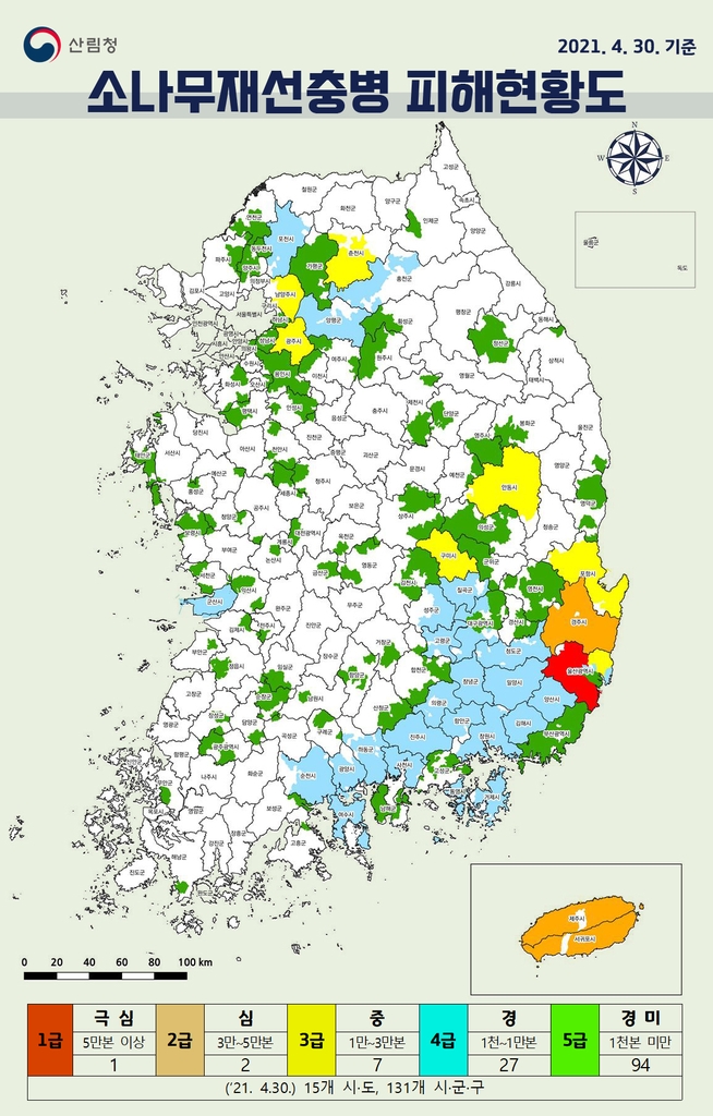 소나무재선충병 방제 부실 업체 퇴출·영업정지 등 강력 제재