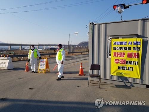 전남 영암 종오리 농장서 고병원성 AI 의심사례 발생