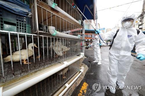 연말연시 식료품·공산품 가격 인상 도미노…공공요금도 '들썩'